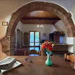 Tesorino Massa Marittima