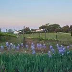 Tesorino Vakantieboerderij