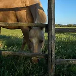 Tesorino * Massa Marittima