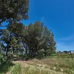 Tesorino Massa Marittima