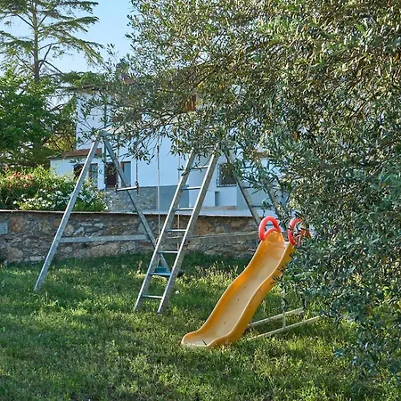 Tesorino