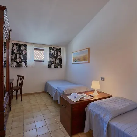 Tesorino Massa Marittima